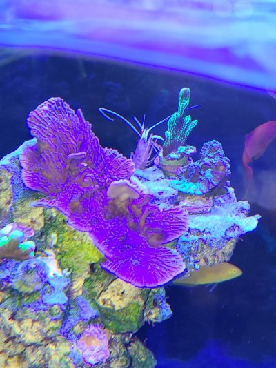 20220626_172550.jpg