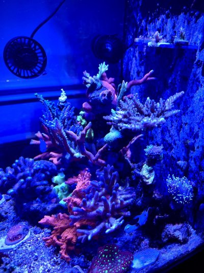 3D6E9BD1-7968-405C-9404-E5B751083354.jpeg