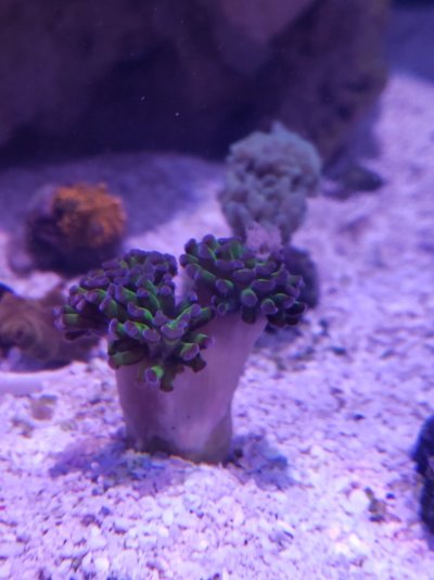 20220625_205444.jpg