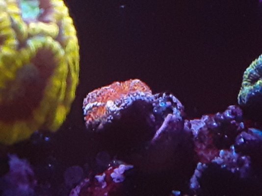 20220619_221951.jpg