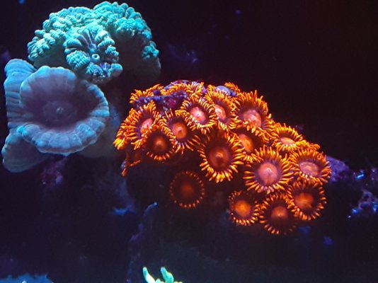 20220619_221724.jpg