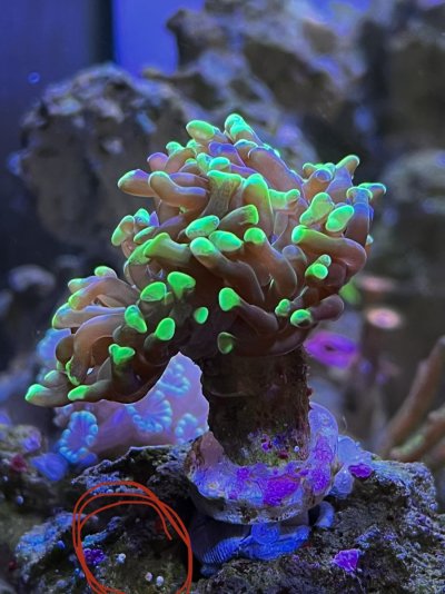 062F9EB6-CA32-4F4E-9A93-476CF7173FB8.jpeg