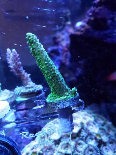 20220719_172343.jpg