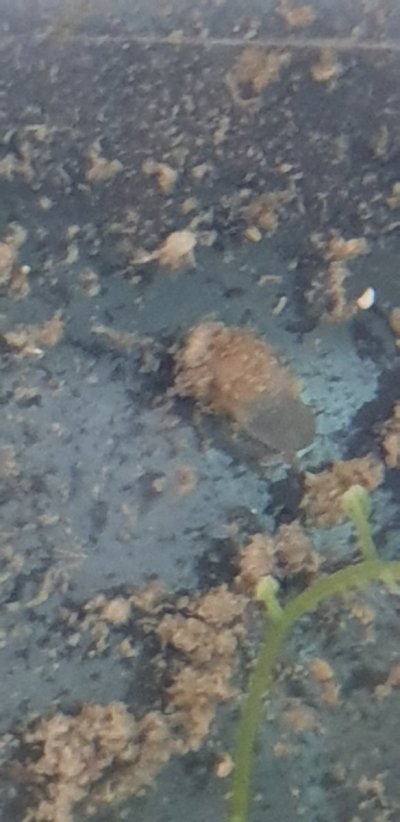 20220721_030441.jpg