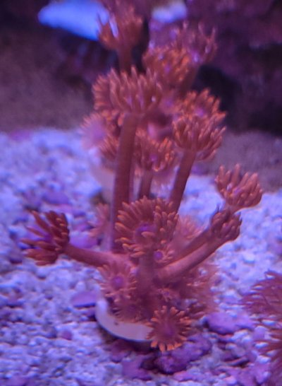 20220403_113338.jpg 20220403_113338.jpg