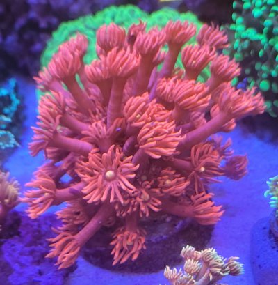 20220228_141001.jpg 20220228_141001.jpg