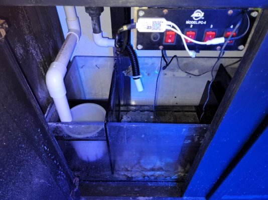 aa sump w dj power strips x 2 and led lights.jpg aa sump w dj power strips x 2 and led lights.jpg
