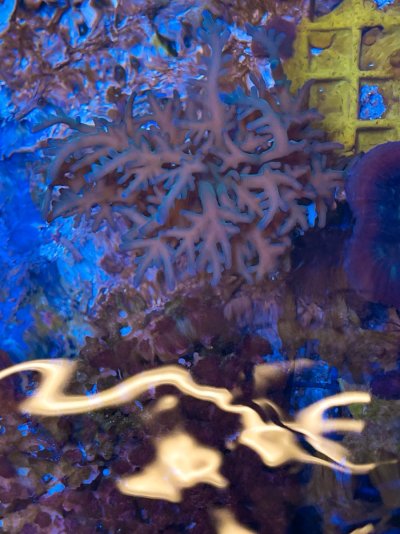 IMG_0133.JPG IMG_0133.JPG