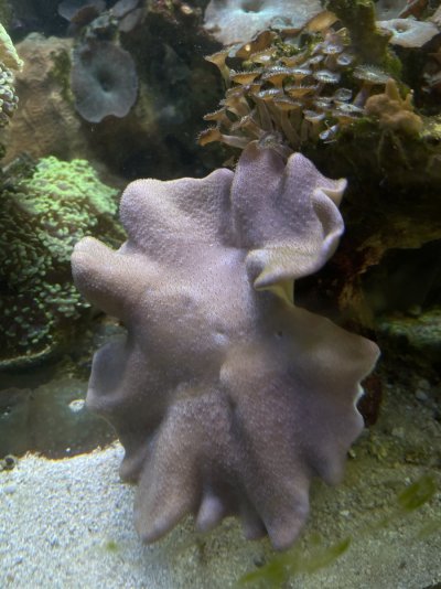IMG_0317.JPG IMG_0317.JPG