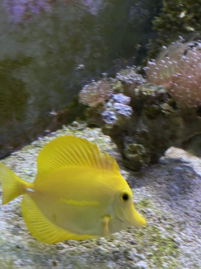IMG_0326.JPG IMG_0326.JPG