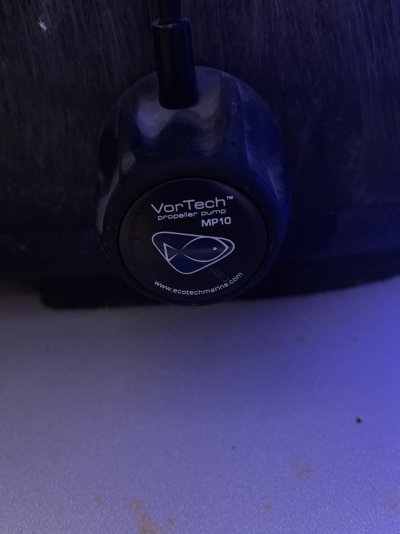 IMG_0161.JPG IMG_0161.JPG
