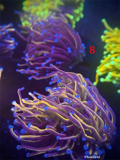 F7D9D25B-6217-4C12-AD76-5D3CDCAAA954.jpeg F7D9D25B-6217-4C12-AD76-5D3CDCAAA954.jpeg
