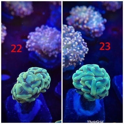 9AF649A0-3A8F-407A-BB4C-BAB83B7CABBE.jpeg 9AF649A0-3A8F-407A-BB4C-BAB83B7CABBE.jpeg