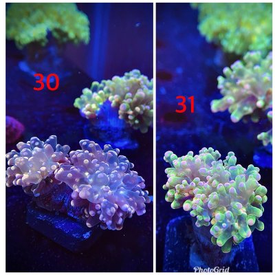 C17522B5-BB6B-46AD-AB8B-92C9D6B41E95.jpeg C17522B5-BB6B-46AD-AB8B-92C9D6B41E95.jpeg