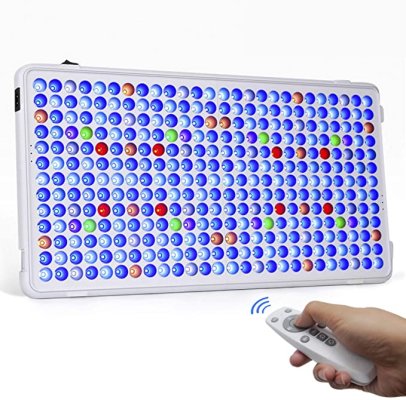 81+2N2sM2IL._AC_SX679_.jpg 81+2N2sM2IL._AC_SX679_.jpg