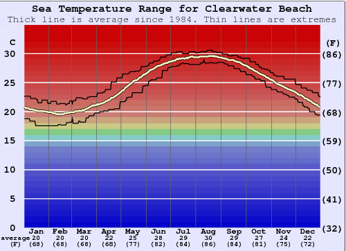 Clearwater-Beach.png