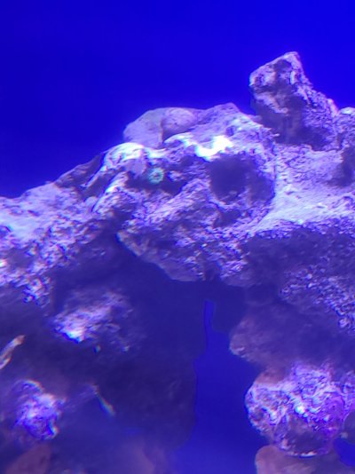 20220815_195917.jpg 20220815_195917.jpg