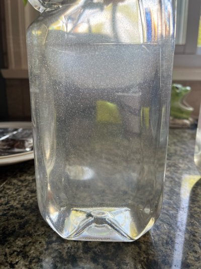 image4.jpeg
