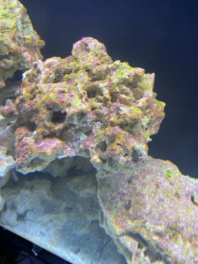 Ugly rock, white light.JPG
