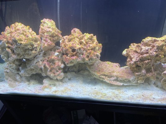 Ugly tank white light.JPG