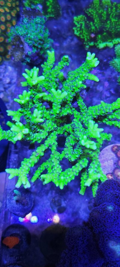 20220718_181916.jpg