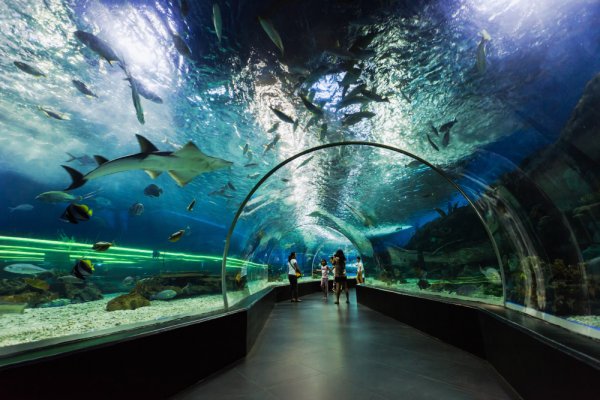 Dubai_aquarium_underwater_zoo_orphek_reef_led_lighting.jpeg