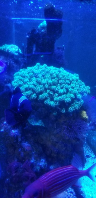 20220830_152506.jpg