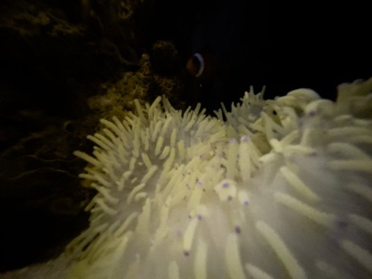 IMG_4449.jpg IMG_4449.jpg