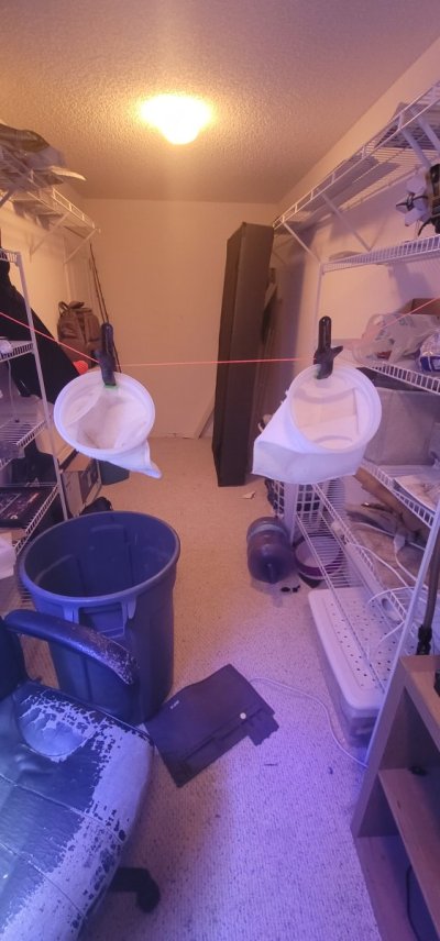 20220905_043404.jpg