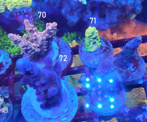 20220907_214859.jpg 20220907_214859.jpg