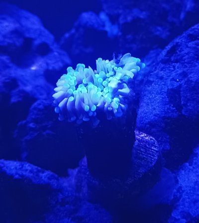 20220923_162454.jpg 20220923_162454.jpg