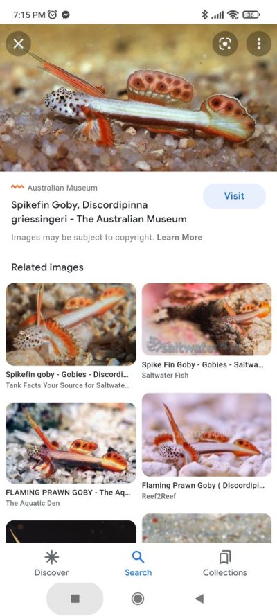 Screenshot_2022-09-30-19-15-42-945_com.google.android.googlequicksearchbox.jpg Screenshot_2022-09-30-19-15-42-945_com.google.android.googlequicksearchbox.jpg
