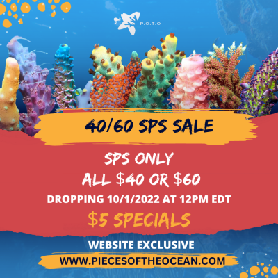 POTO 40/60 SPS Sale Website Exclusive One-Time Drop on Saturday 10/01/2022 at 12pm EDT!