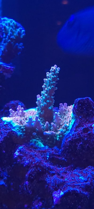 20220911_102012.jpg 20220911_102012.jpg