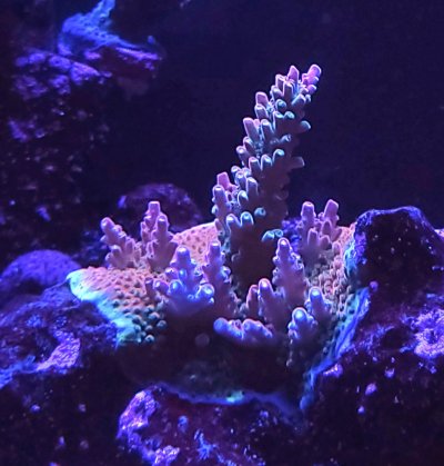 20221002_105634.jpg 20221002_105634.jpg