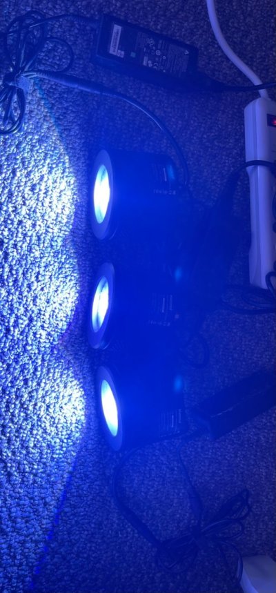 IMG_3496.jpg IMG_3496.jpg