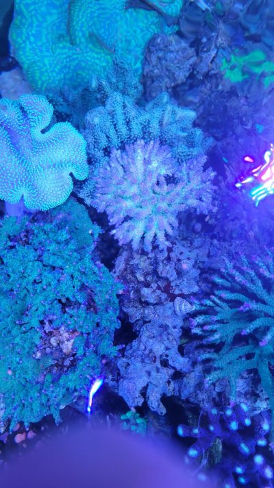 20220716_104327.jpg