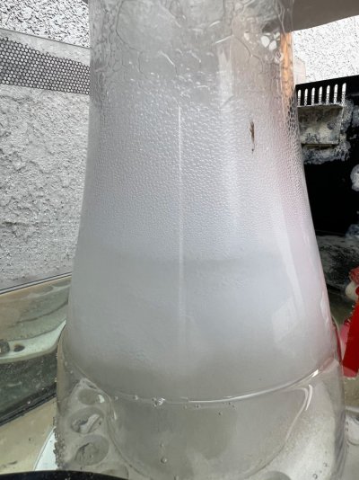 inside poopy cone.jpg inside poopy cone.jpg