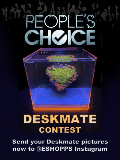 Deskmate Contest.jpg