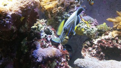 20160301_180408.jpg