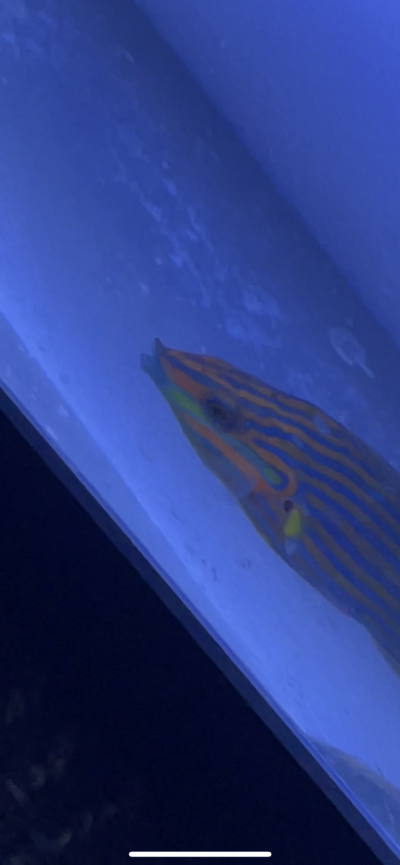 4CBED398-3902-4A03-BC27-FC01B164B43E.png
