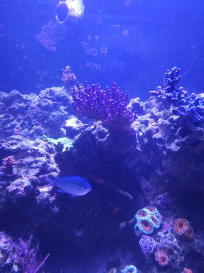 20221016_202001.jpg