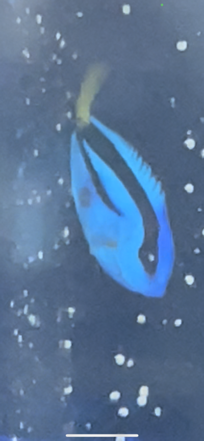 BEE05108-3D56-42CF-9F10-1C58CDF14DBC.png BEE05108-3D56-42CF-9F10-1C58CDF14DBC.png