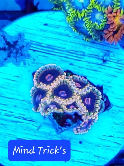 20221120_180915.jpg 20221120_180915.jpg