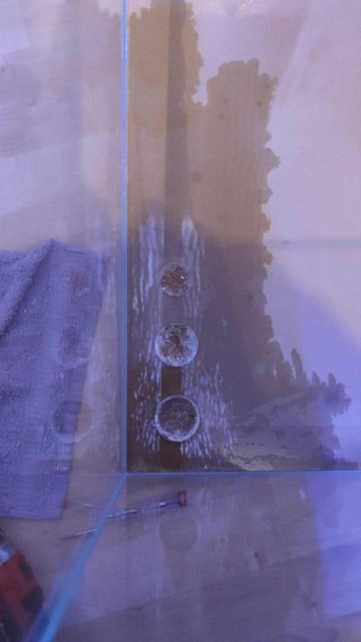 1669060001928.jpg 1669060001928.jpg