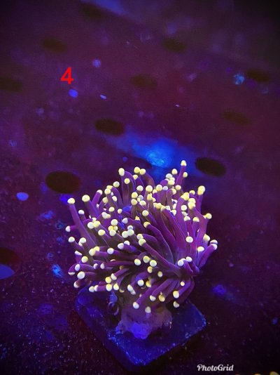 1C0D812E-A753-4EC3-9924-9B0A62F000A1.jpeg 1C0D812E-A753-4EC3-9924-9B0A62F000A1.jpeg