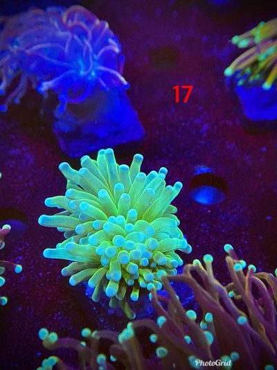 D00C4F16-6AFA-4F26-AE68-AC4E42C94A20.jpeg D00C4F16-6AFA-4F26-AE68-AC4E42C94A20.jpeg
