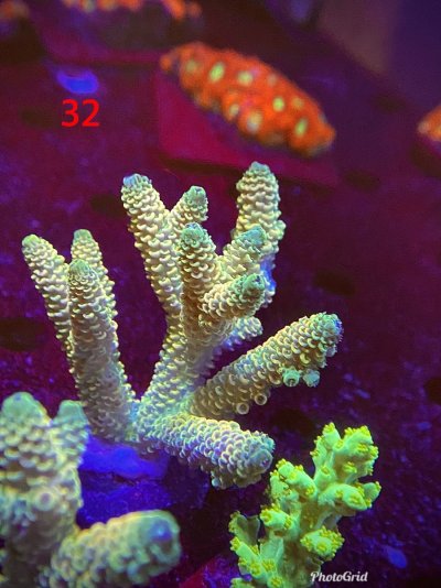 0369A947-A16E-41B8-A26A-51D615E4ACFA.jpeg 0369A947-A16E-41B8-A26A-51D615E4ACFA.jpeg