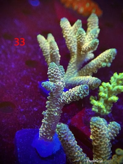 5B2CF42D-4D39-40B3-A225-89BDFD55C67F.jpeg 5B2CF42D-4D39-40B3-A225-89BDFD55C67F.jpeg