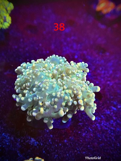 E45993EF-7378-478B-A199-8C369AECA46B.jpeg E45993EF-7378-478B-A199-8C369AECA46B.jpeg